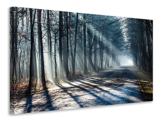 Leinwandbild Wald im Lichtstrahl