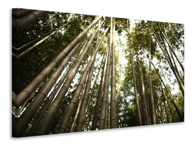 Leinwandbild Arashiyama Japan