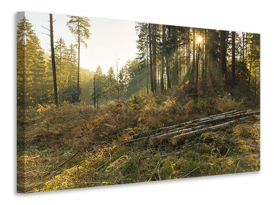 Leinwandbild Arbeiten im Wald