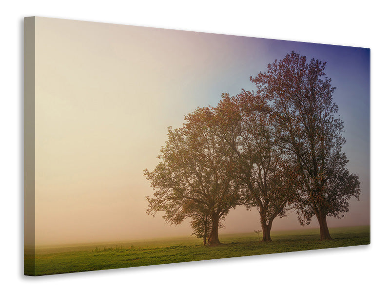 Leinwandbild Der schiefe Baum