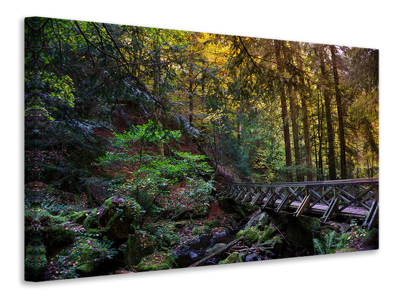 Leinwandbild Die Wald Brücke