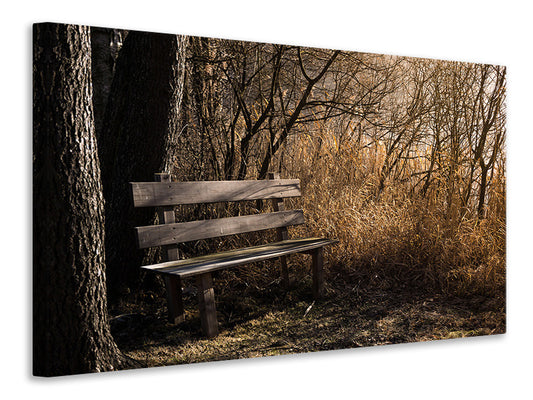 Leinwandbild Holzbank im Wald