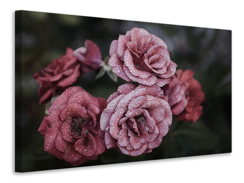 Leinwandbild Romantische Rosen