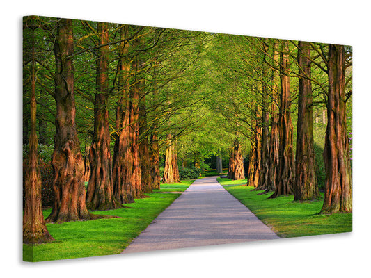 Leinwandbild Schöne Allee in der Natur