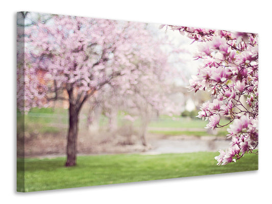 Leinwandbild Schöne Magnolien