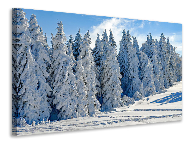 Leinwandbild Schöne Winterlandschaft