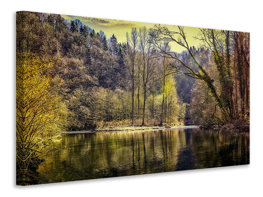 Leinwandbild See im Wald