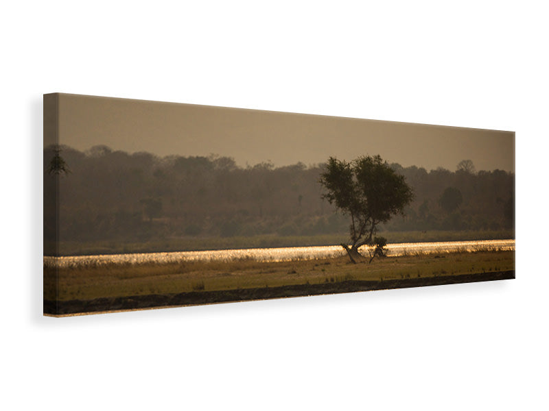 Leinwandbild Panorama Elefant alleine in der Steppe